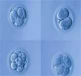 深圳三代试管双胎费用解析：助您了解代生价格